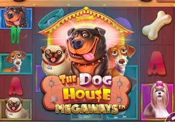 NOVOMATIC - игровой автомат онлайн от Various с RTP 97.25%